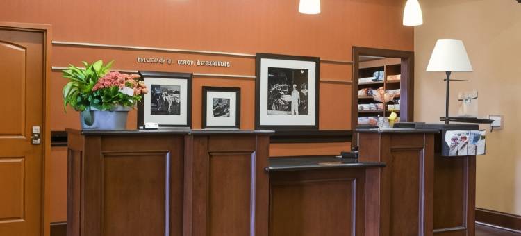 纽布朗费尔斯欢朋套房酒店(Hampton Inn & Suites New Braunfels)图片