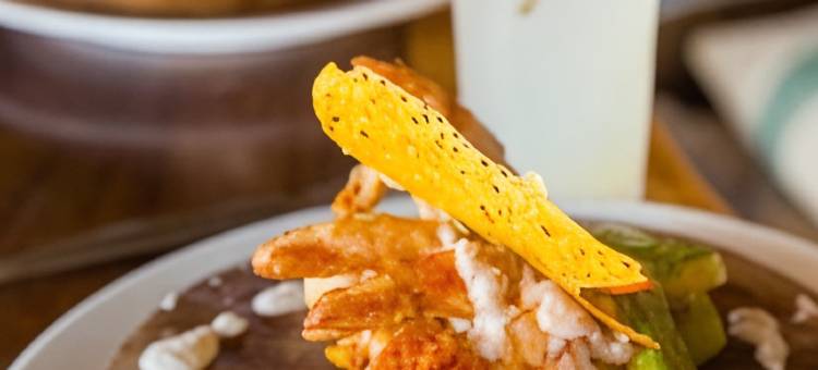 Nílu埃斯孔迪多港塞琳娜酒店(Nílu Puerto Escondido by Selina)图片