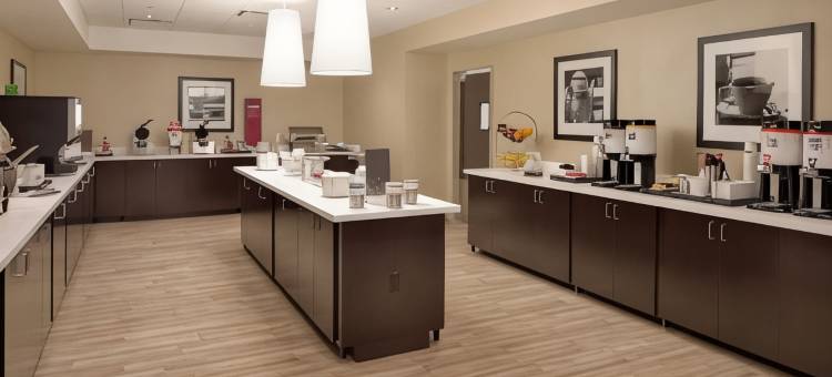 罗斯蒙特芝加哥奥黑尔欢朋套房酒店(Hampton Inn & Suites Rosemont Chicago O'Hare)图片