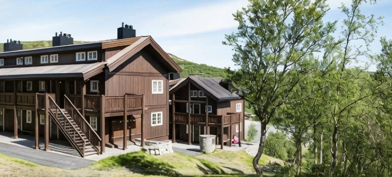 哈弗达尔格林达耶卢酒店(Havsdalsgrenda Geilo Apartments)图片