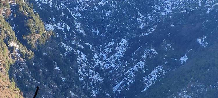 白水旅馆(White Water Inn Mcleodganj)图片