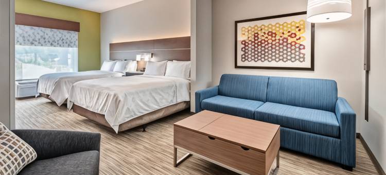 智选假日套房酒店苏黎世湖，巴林顿(Holiday Inn Express & Suites Lake Zurich-Barrington)图片