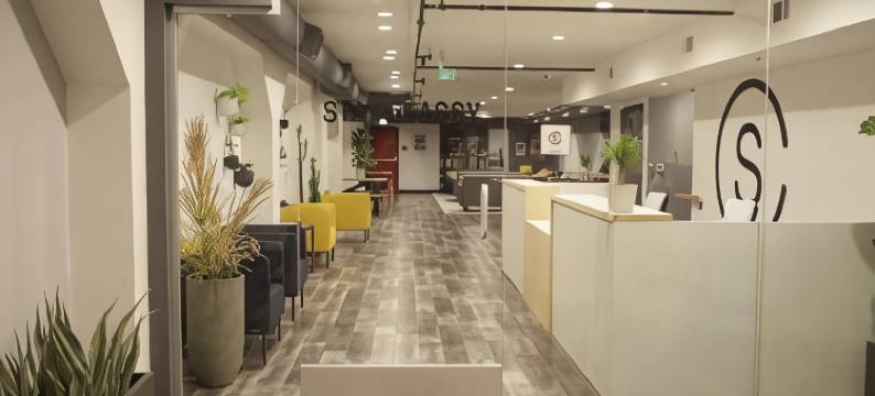 优雅仕客栈(Stay Classy)图片