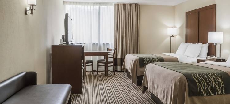 舒适酒店-波科诺山区(Comfort Inn - Pocono Mountains)图片