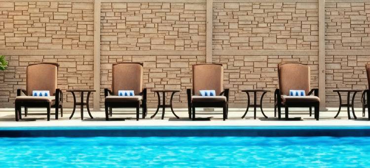 盖勒瑞亚休斯顿威斯汀酒店(The Westin Galleria Houston)图片