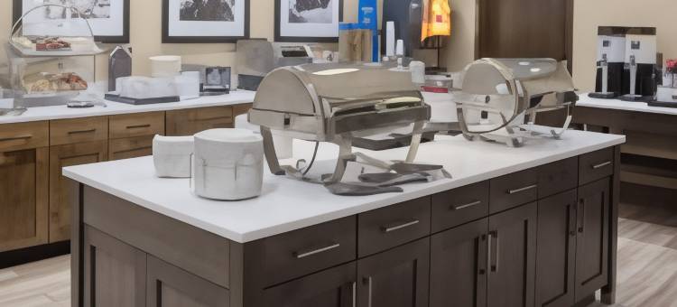 雪城华美达酒店(Hampton Inn & Suites Syracuse-North (Airport Area))图片