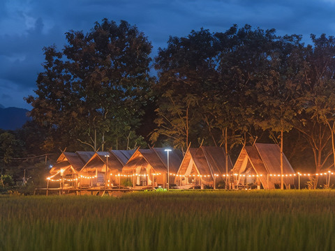 稻田天堂 - 自然之巢