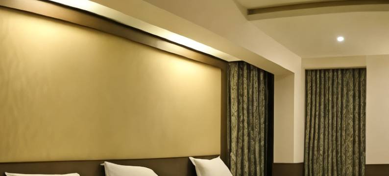 瓦山国际酒店(Hotel Varshan International)图片