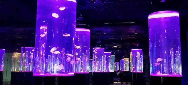 香灵里酒店(遂宁万达广场店)图片