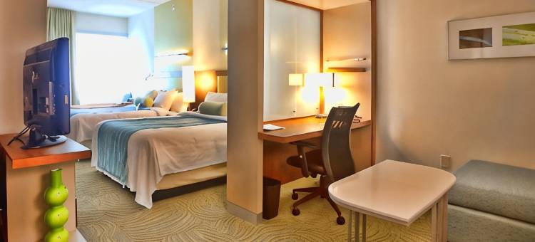 坦帕北/坦帕棕榈万豪SpringHill酒店(SpringHill Suites Tampa North/I-75 Tampa Palms)图片