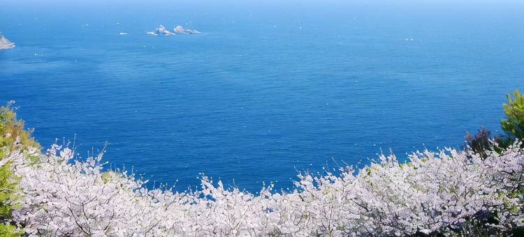 熊野之宿海光(Kumano No Yado Umihikari)图片