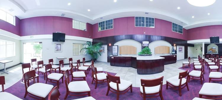 好莱坞星光大道智选假日酒店及套房(Holiday Inn Express & Suites HOLLYWOOD WALK OF FAME by IHG)图片