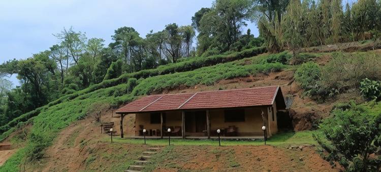 Thenmala Ecoresort图片