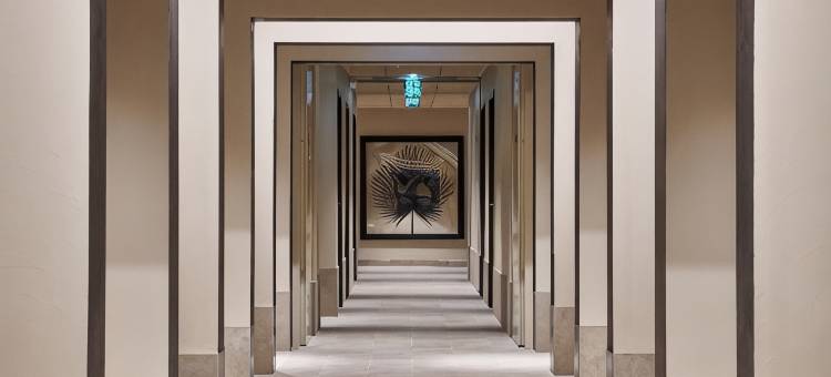 布鲁斯锦绣水疗酒店(Hotel & Spa Vacances Bleues le Splendid)图片