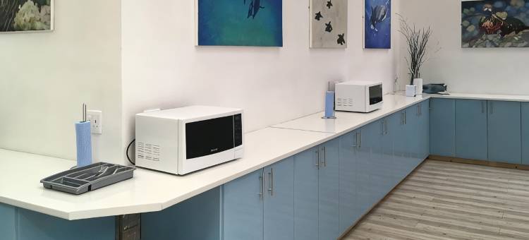 珊瑚潜水者酒店(Coral Divers)图片