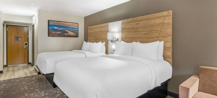 东里奇查塔努加舒适套房酒店(Comfort Inn & Suites Chattanooga-East Ridge)图片