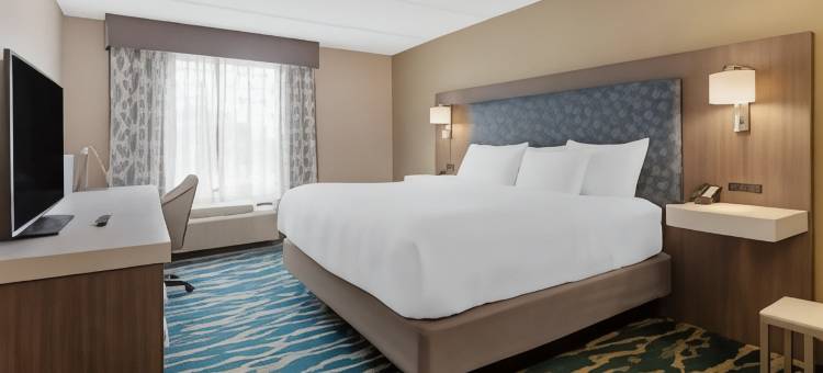 靠近东卡罗来纳大学的格林维尔舒适套房酒店(Comfort Inn & Suites Greenville Near East Carolina University)图片