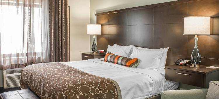 Staybridge Suites 北杰克逊(Staybridge Suites JACKSONVILLE-CAMP LEJEUNE AREA by IHG)图片