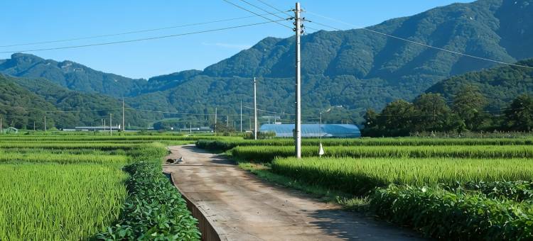 坛阳三叶草旅馆(Damyang Clover Pension)图片
