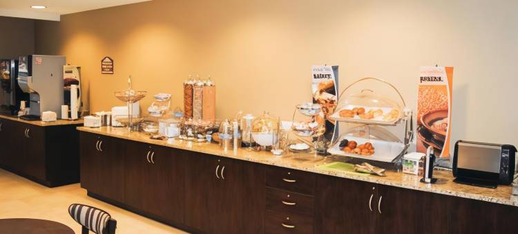 矿泉井城-帕克斯堡麦客达套房酒店(Microtel Inn & Suites by Wyndham Mineral Wells/Parkersburg)图片