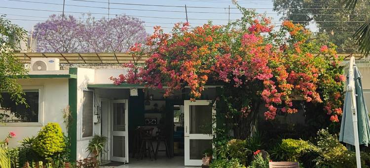 Green Serene Abode图片