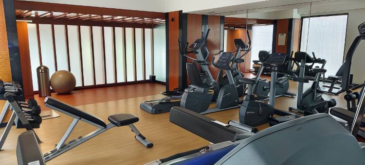 赛雅吉Effotel印多尔(Effotel by Sayaji Indore)图片