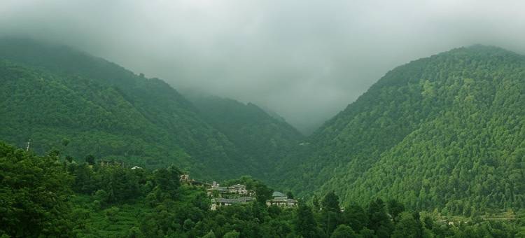 阿赖雅帕兰普尔(Araiya Palampur)图片