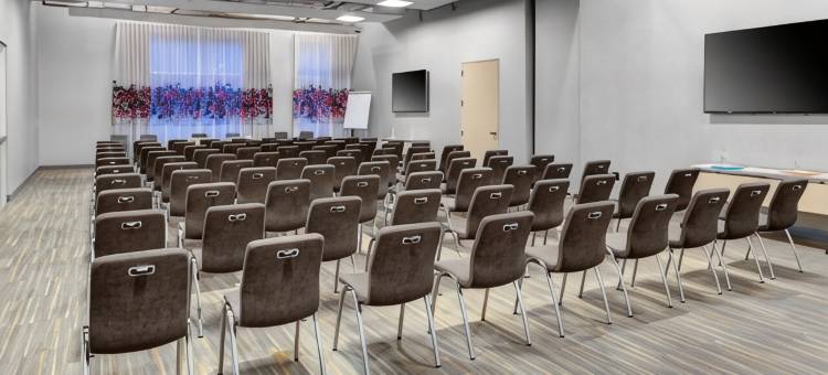 罗利-达勒姆机场布里尔溪雅乐轩酒店(Aloft Raleigh-Durham Airport Brier Creek)图片