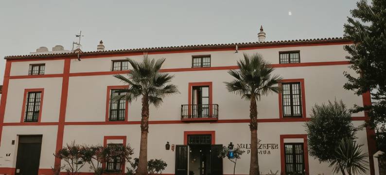 波萨达巴尔德祖弗酒店(Hotel Posada de Valdezufre)图片