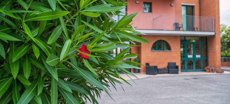 卡萨贝塔尼亚酒店(Casa Betania)图片