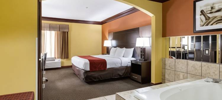 克鲁特杰克森湖舒适全套房酒店(Comfort Suites Lake Jackson Clute)图片