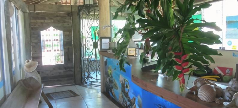 匹拉尔旅馆(Pousada Pilar)图片