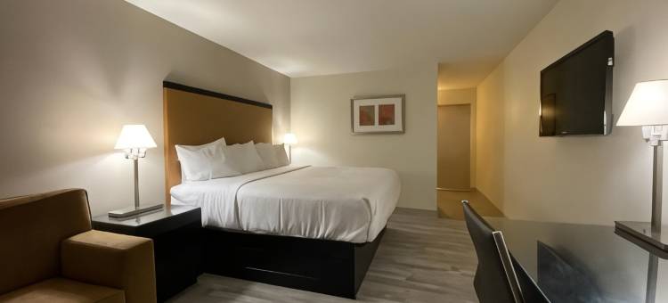 卡本代尔大学旅馆(University Inn of Carbondale)图片