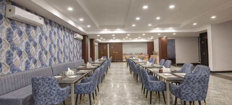 Hotel la Mirage Noida图片