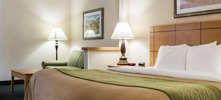 舒适酒店(Comfort Inn)图片