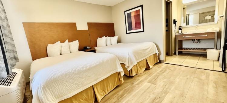 阿林顿六旗附近温德姆戴斯套房酒店(Days Inn & Suites by Wyndham Arlington Near Six Flags)图片