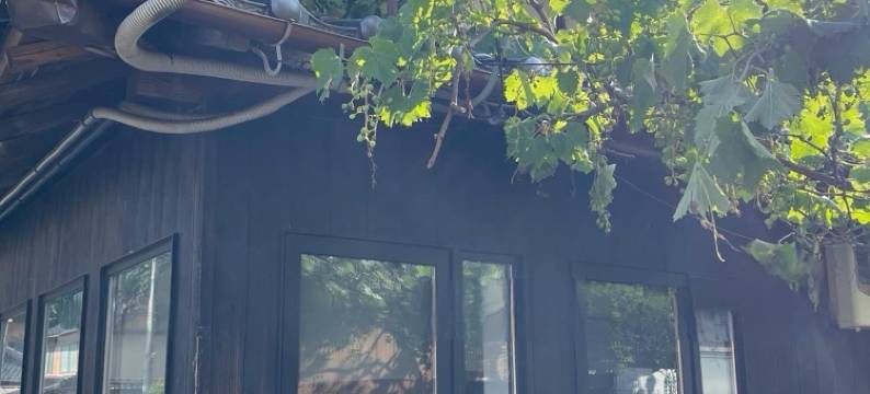 基础 sanablend(Base Sanablend)图片