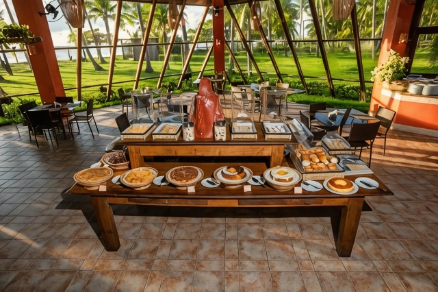 Patachocas Over view