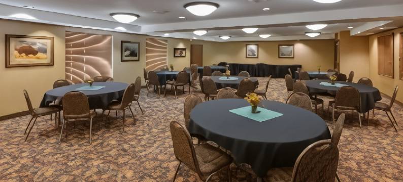 凯利贝斯特韦斯特优质套房酒店(Best Western Plus Kelly Inn  Suites)图片