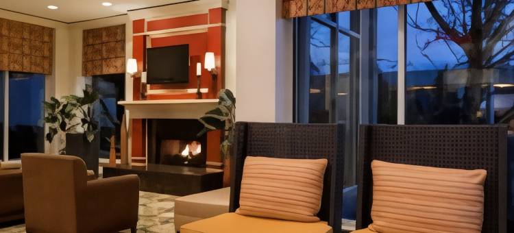 芝加哥奥克布鲁克阳台希尔顿花园酒店(Hilton Garden Inn Chicago/Oakbrook Terrace)图片