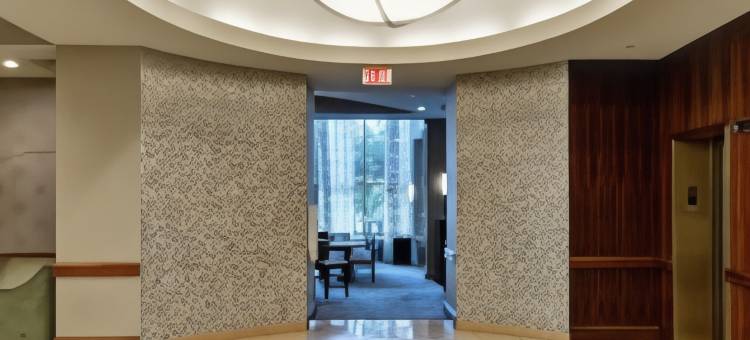 休斯顿商业街附近Homewood酒店(Homewood Suites by Hilton Houston Near the Galleria)图片