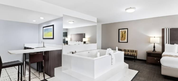 内珀维尔贝斯特韦斯特酒店(Best Western Naperville Inn)图片