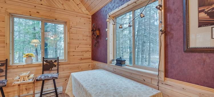 巴纳姆小屋，带有Soo Line越野车道的30英亩土地！(Barnum Cabin on 30 Acres w/ Soo Line Trail Access!)图片