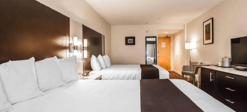 温哥华机场Comfort酒店(Comfort Hotel Vancouver Airport)图片