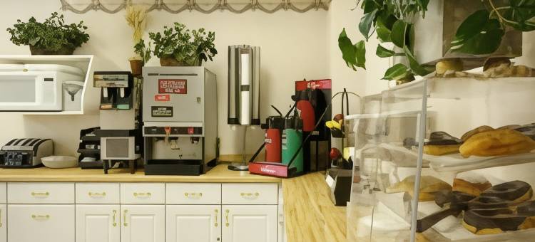 凯迪拉克戴斯酒店(Days Inn by Wyndham Cadillac)图片