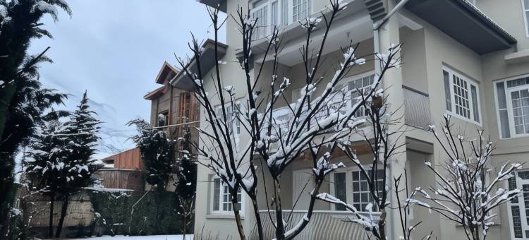 雪豹旅馆(Snow Leopard Lodge)图片