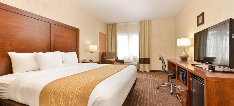河景舒适套房酒店(Comfort Inn & Suites Riverview Near Davenport and I-80)图片