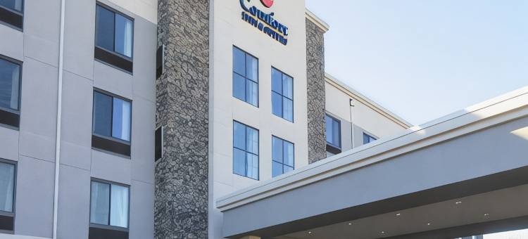 尼亚加拉瀑布大道舒适套房酒店(Comfort Inn & Suites Niagara Falls Blvd USA)图片