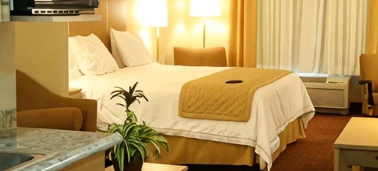 萨尔蒂洛佐纳航空港智选假日酒店(Holiday Inn Express SALTILLO ZONA AEROPUERTO by IHG)图片