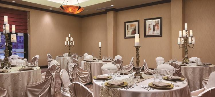 明尼阿波利斯北希尔顿安泊酒店(Embassy Suites by Hilton Minneapolis North)图片